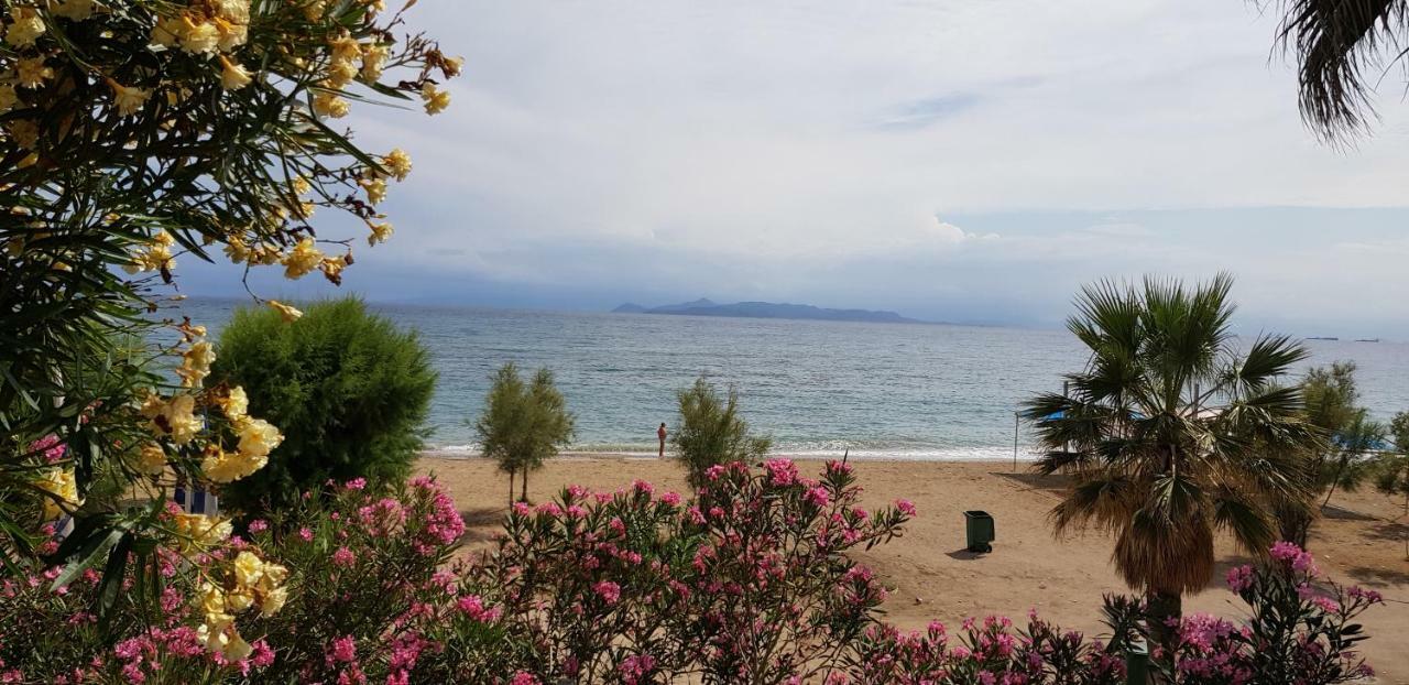 Perfect Beachfront Apartment Athene Buitenkant foto